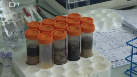 Černé ovce - 25. března 2014