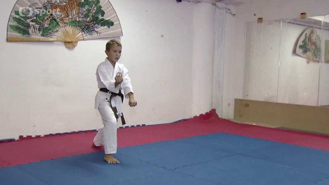 Sport v regionech - Watejitsu a ISKA 2015, Ostrava