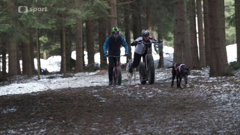 Vertikal - 27. března 2019