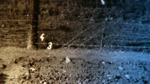 Příběhy železné opony - 15/39 Roztrhán zaživa