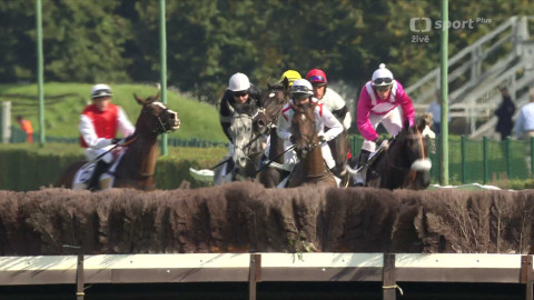 Dostihy - Cena města Pardubic