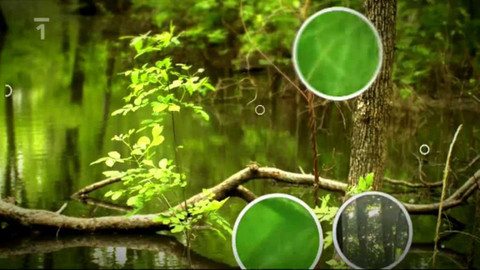 Hra na zelenou - 19. září 2005