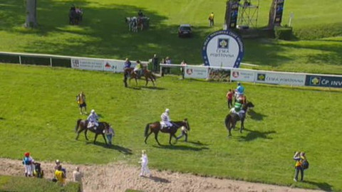 Jezdectví - Velká cena města Pardubice