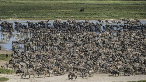 Okavango - řeka snů - 4/4 Do srdce divočiny