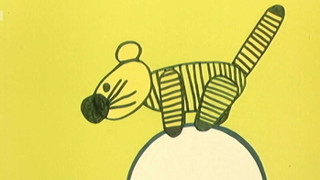 Příběhy z manéže