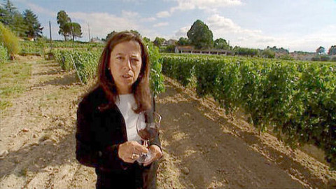 Putování za vínem - 9/15 Beira-Dao