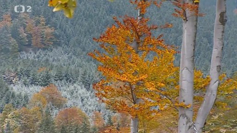 Nedej se! - Rezervace na odpis?