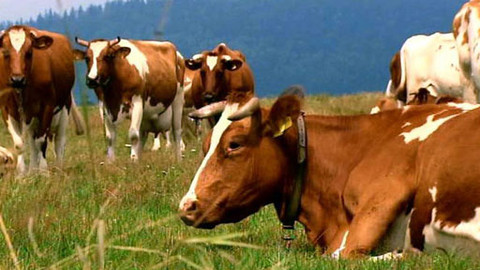 Hranice dokořán - Rozmówki polsko-czeskie - 28. srpna 2011