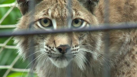 Náš venkov - Zvířecí ráj