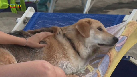 Zprávičky - 19. července 2023