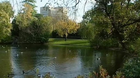 Postřehy odjinud - Rakousko očima Marie Woodhamsové