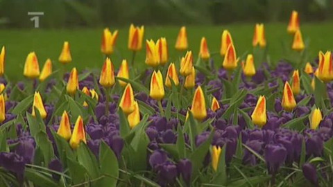 Postřehy odjinud - Benelux očima Milana Fridricha