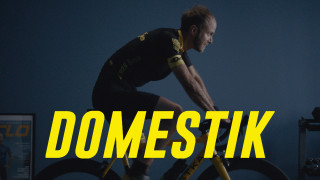 Domestik