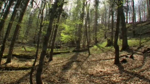 Živé srdce Evropy - Mionší