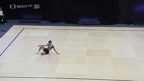 Sportovní aerobik - Czech Aerobic Open