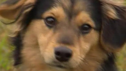 Chcete mě? - Chcete je?