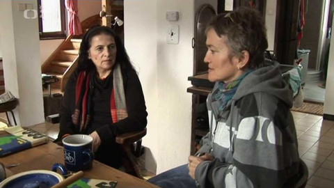 Čtenářský deník... - Tereza Boučková: Rok kohouta