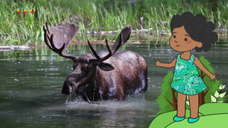 Velká kniha o zvířátkách II