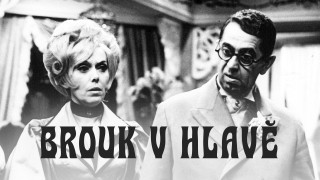 Brouk v hlavě