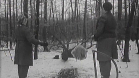 Archiv ČT24 - Poklad z lesa