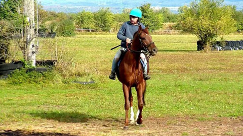 Týden v regionech (Ostrava) - 16. října 2021