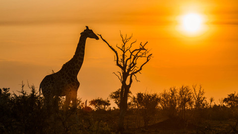 Napajedlo - africká zvířecí oáza - Epizoda 2/3