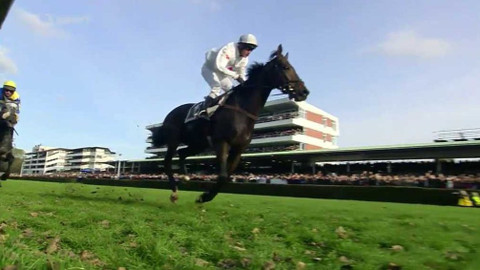 Velká pardubická - 122. Velká pardubická s Českou pojišťovnou