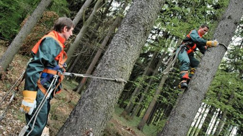 Devatero řemesel - Jan Antonín Duchoslav alias Viki Cabadaj dřevorubcem