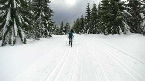 Běžkotoulky - Trasa z Jiřetína pod Bukovou do Hejnice