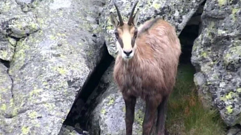 Tisíc let české myslivosti - 15. října 2016