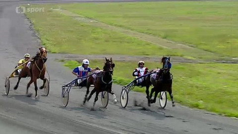 Jezdectví - České klusácké derby Ostrava