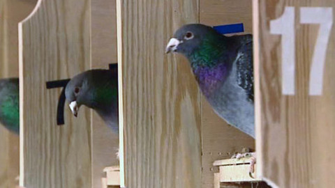 Hranice dokořán - Rozmówki polsko-czeskie - 26. února 2012