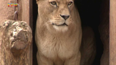 Tamtam - 10. července 2021