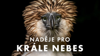 Naděje pro krále nebes