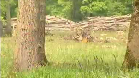 Nedej se! - Soutok Morava–Dyje II.