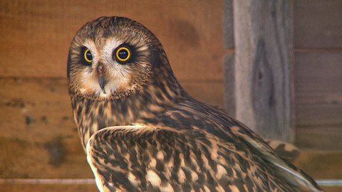 Chcete mě? - 27. března 2016