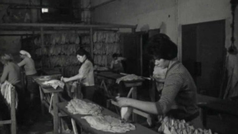 Krajové vysílání - V kouři a dýmu - tabák