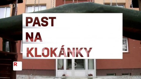 Reportéři ČT - 23. února 2015