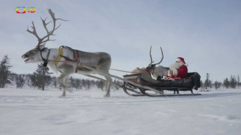 Zprávičky - 22. prosince 2020