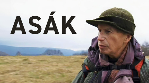 Asák