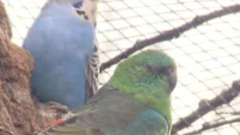 Chcete mě? - 23. dubna 2010