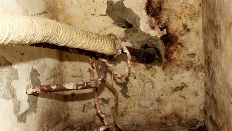 Černé ovce - 26. ledna 2021