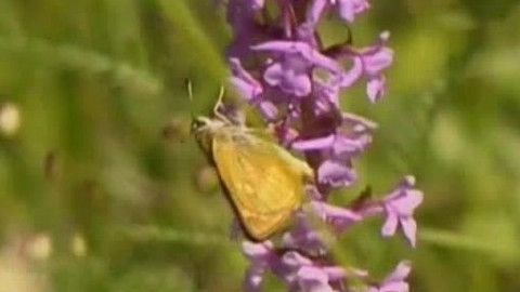 Přidej se - Javořice