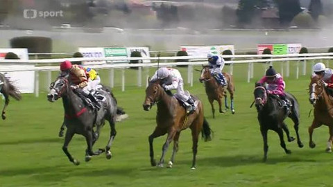 Turf - 12. června 2013