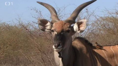 Gejzír - 23. března 2017