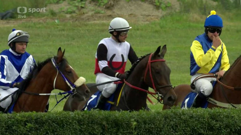 Dostihy - Memoriál Evy Palyzové