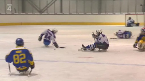 Hokej - Finále České sledge hokejové ligy 2009/10