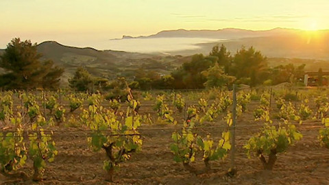 Putování za vínem - 4/16 Francie - Provence