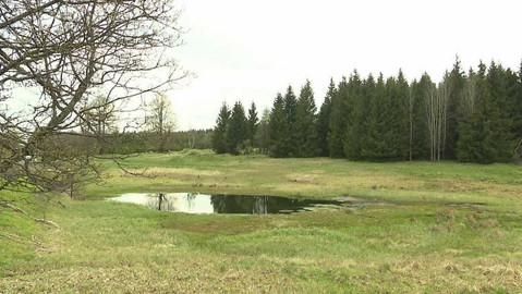 Nedej se! - Horské louky na prodej