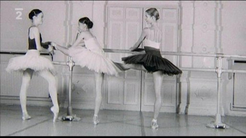 Kultura.cz - 28. března 2010